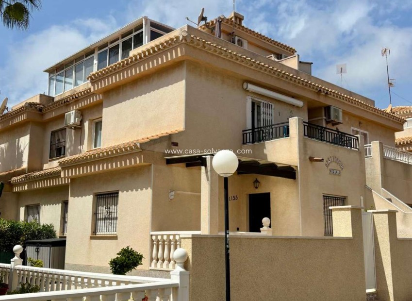 Alquiler a largo plazo - Apartamento / piso - Orihuela - La Zenia