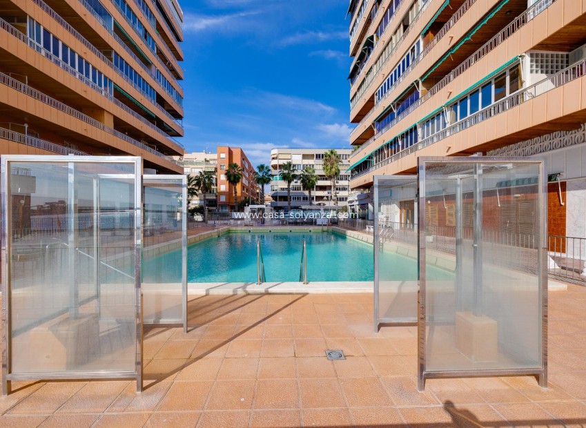 Alquiler a largo plazo - Apartamento / piso - Torrevieja - Playa del Acequión