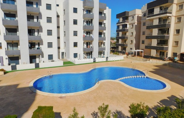 Apartamento / piso - Alquiler a largo plazo - San Miguel de Salinas - San Miguel de Salinas