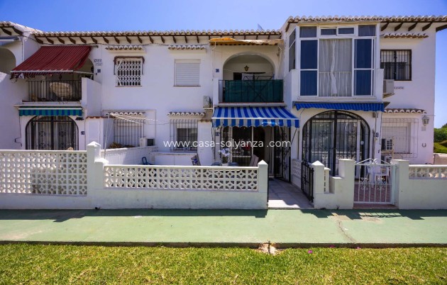 Apartamento / piso - Alquiler a largo plazo - Torrevieja - Torrevieja