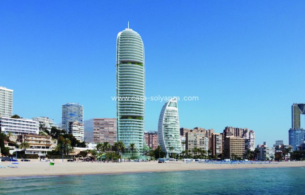 Apartamento / piso - Obra nueva - Benidorm - Benidorm
