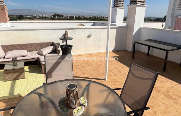 Apartamento / piso - Reventa - Algorfa - Algorfa