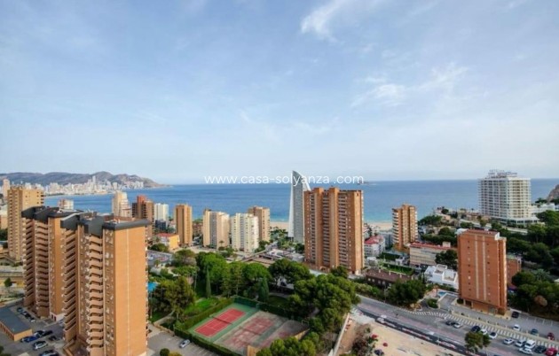 Apartamento / piso - Reventa - Benidorm - Costa Blanca
