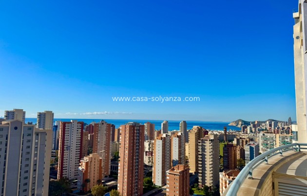 Apartamento / piso - Reventa - Benidorm - Costa Blanca