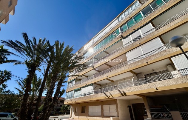 Apartamento / piso - Reventa - Guardamar del Segura - Costa Blanca