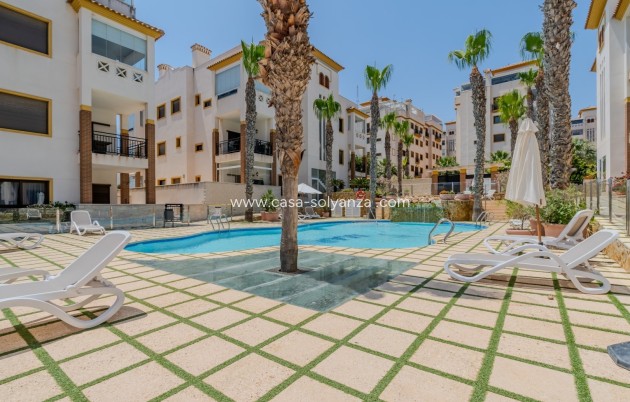 Apartamento / piso - Reventa - Guardamar del Segura - Guardamar del Segura