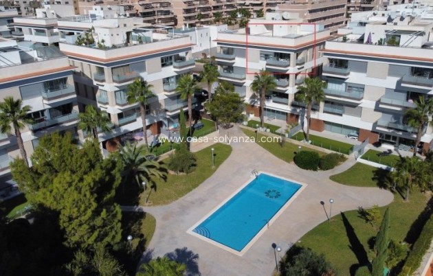 Apartamento / piso - Reventa - Orihuela Costa - Costa Blanca