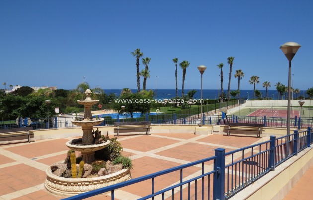 Apartamento / piso - Reventa - Pilar de la Horadada - Mil Palmeras