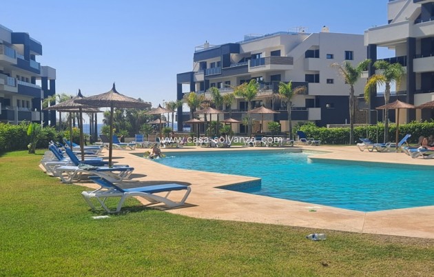 Apartamento / piso - Reventa - Playa Flamenca - Playa Flamenca