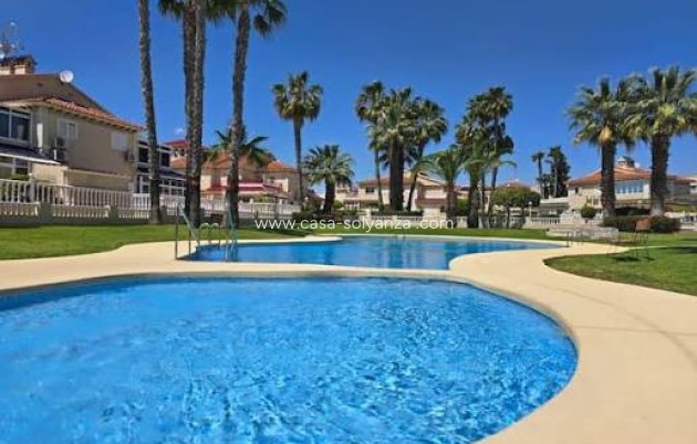 Apartamento / piso - Reventa - Playa Flamenca - Playa Flamenca