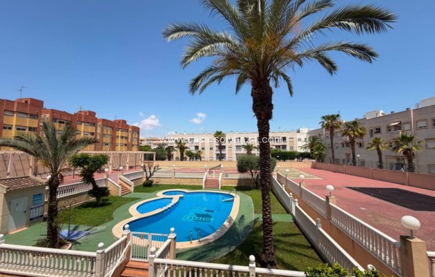 Apartamento / piso - Reventa - Torrevieja - Center
