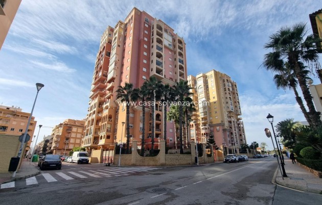 Apartamento / piso - Reventa - Torrevieja - Los Frutales