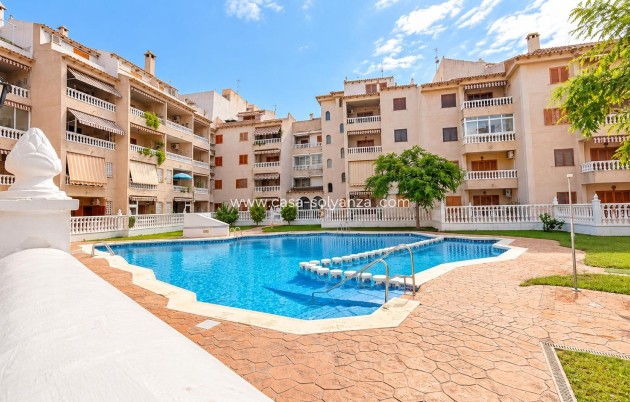 Apartamento / piso - Reventa - Torrevieja - Playa de los Locos
