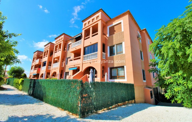 Apartamento / piso - Reventa - Villamartin - PAU 8