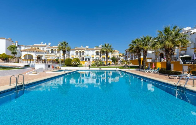 Apartment / flat - Long Term Rental - San Miguel de Salinas - San Miguel de Salinas