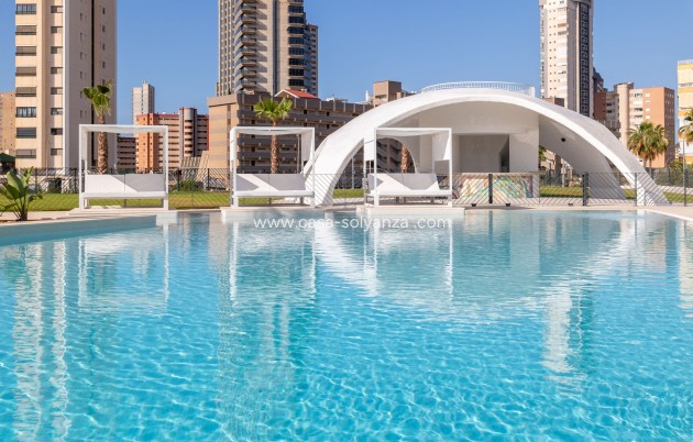 Apartment / flat - New Build - Benidorm - Benidorm