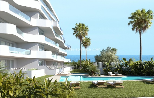 Apartment / flat - New Build - Pilar de la Horadada - Mil Palmeras