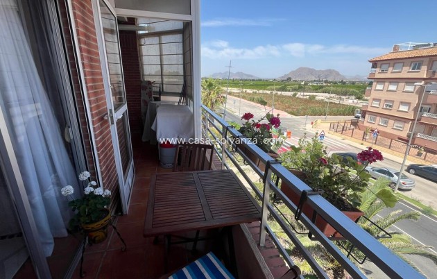 Apartment / flat - Resale - Algorfa - Algorfa