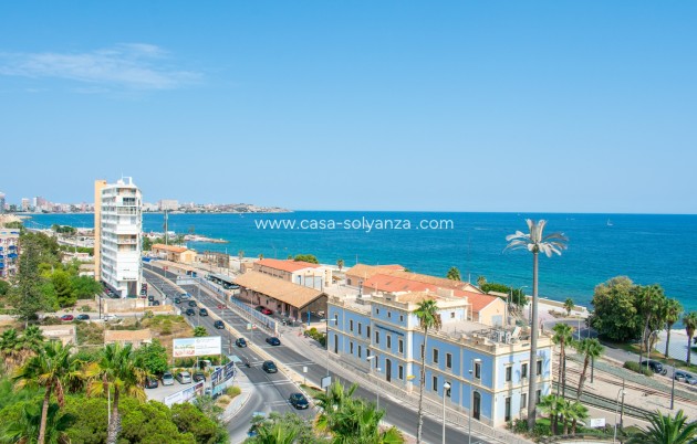 Apartment / flat - Resale - Alicante - Casco antiguo