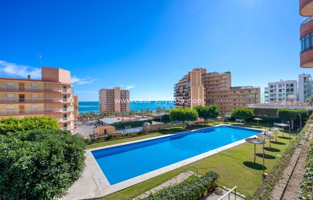 Apartment / flat - Resale - Arenales del Sol - Segunda linea playa