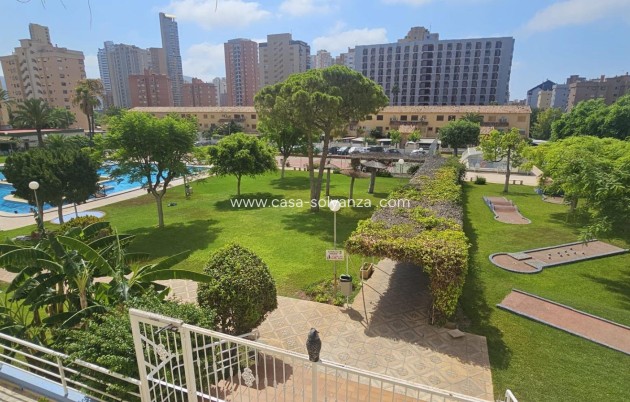 Apartment / flat - Resale - Benidorm - CSRES-77024