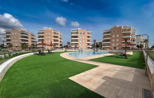 Apartment / flat - Resale - El Raso - CSRES-17555