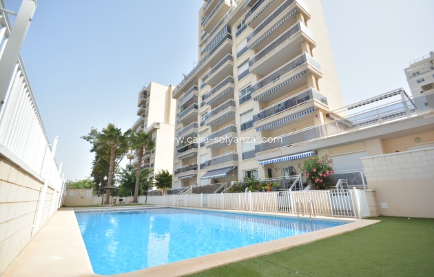 Apartment / flat - Resale - Guardamar del Segura - Costa Blanca