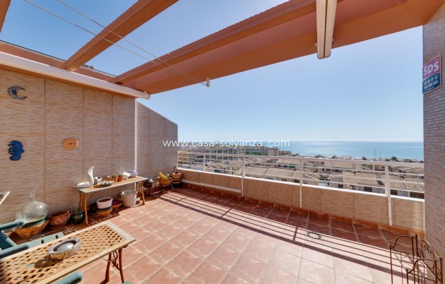 Apartment / flat - Resale - Guardamar del Segura - Costa Blanca