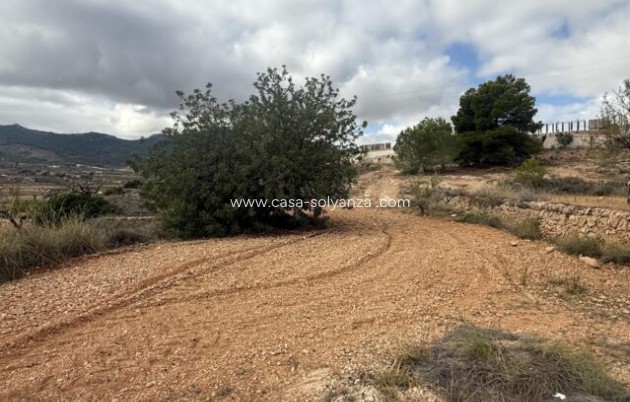 Apartment / flat - Resale - La Romana - La Romana
