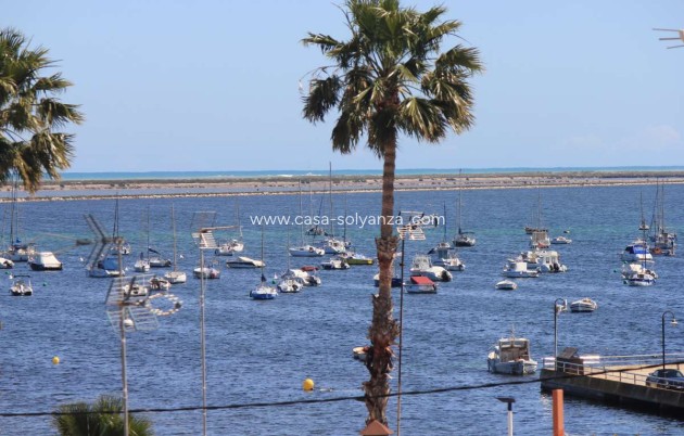 Apartment / flat - Resale - Lo Pagan - Costa Calida