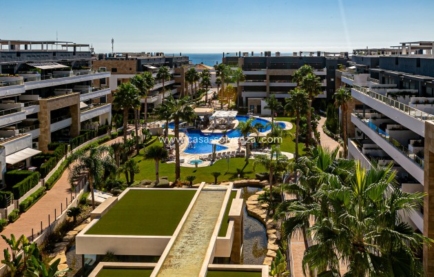 Apartment / flat - Resale - Playa Flamenca - Playa Flamenca