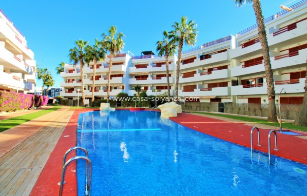 Apartment / flat - Resale - Playa Flamenca - Playa Flamenca