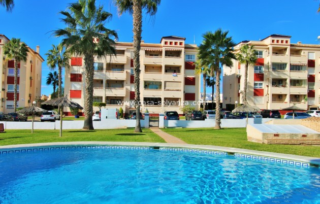 Apartment / flat - Resale - Playa Flamenca - Playa Flamenca