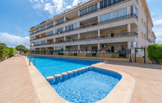 Apartment / flat - Resale - Playa Flamenca - Playa Flamenca
