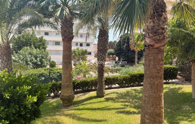 Apartment / flat - Resale - Torrevieja - 0