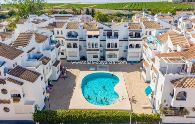 Apartment / flat - Resale - Torrevieja - Torrevieja Centro