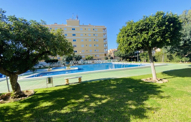 Apartment / flat - Resale - Torrevieja - Torrevieja