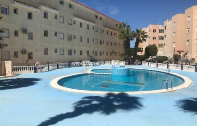 Apartment / flat - Resale - Torrevieja - Torrevieja