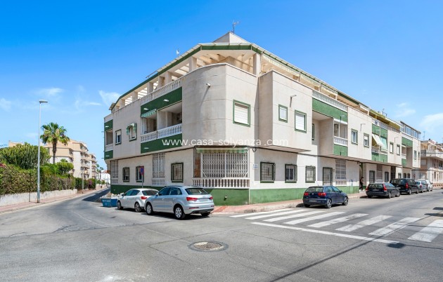 Apartment / flat - Resale - Torrevieja - Torrevieja