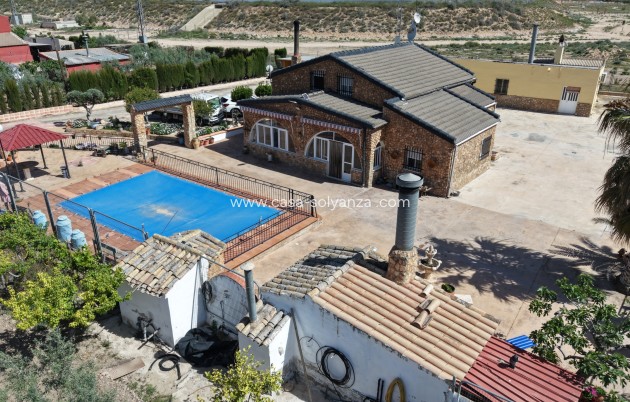 Apartment / flat - Resale - Yecla - Yecla