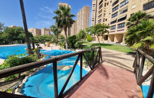 Appartement / flat - Herverkoop - Benidorm - Costa Blanca