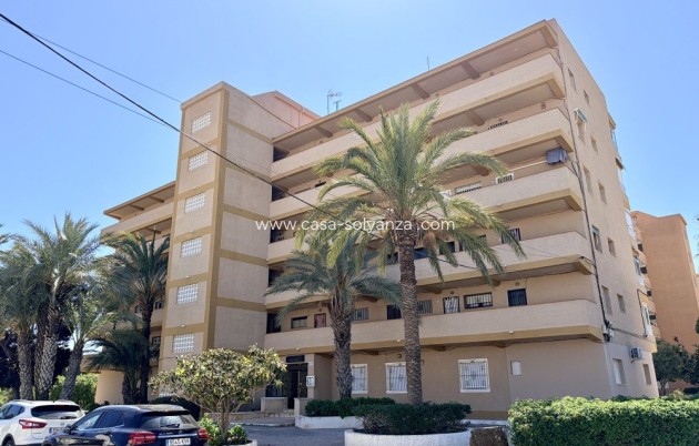 Appartement / flat - Herverkoop - Guardamar del Segura - Costa Blanca