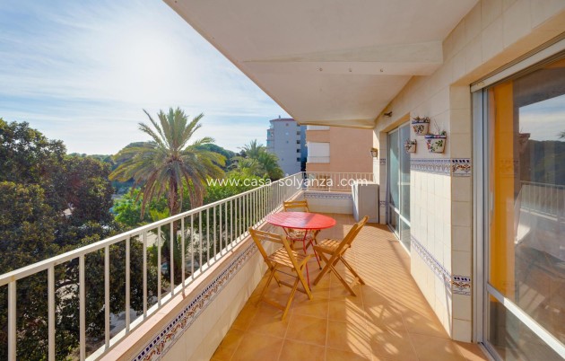 Appartement / flat - Herverkoop - Guardamar del Segura - Pinomar