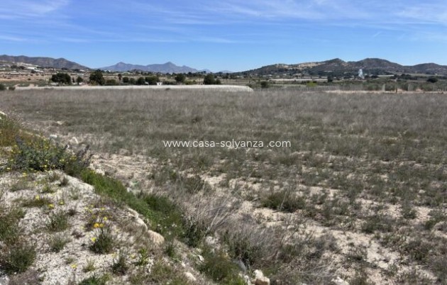 Appartement / flat - Herverkoop - La Romana - La Romana