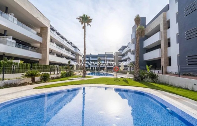 Appartement / flat - Herverkoop - Playa Flamenca - Playa Flamenca