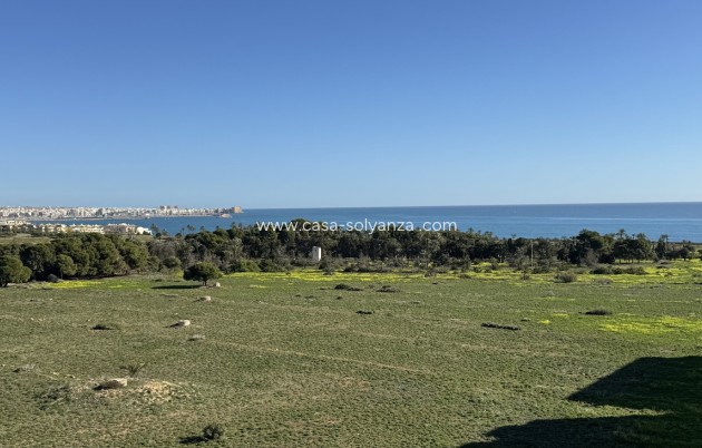 Appartement / flat - Herverkoop - Punta Prima - Costa Blanca