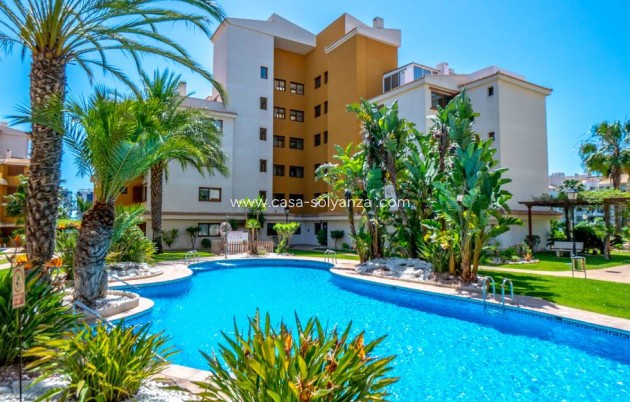 Appartement / flat - Herverkoop - Punta Prima - Punta Prima