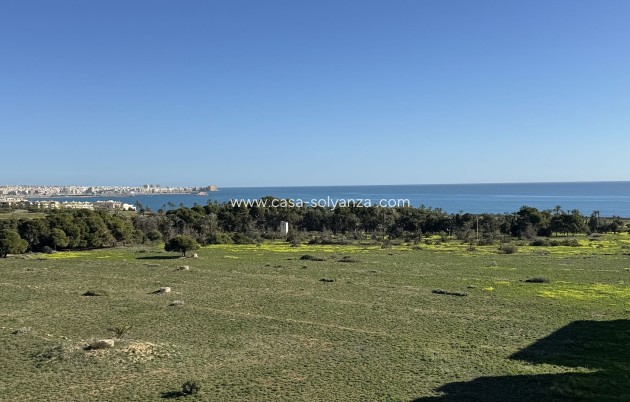 Appartement / flat - Herverkoop - Punta Prima - Punta Prima
