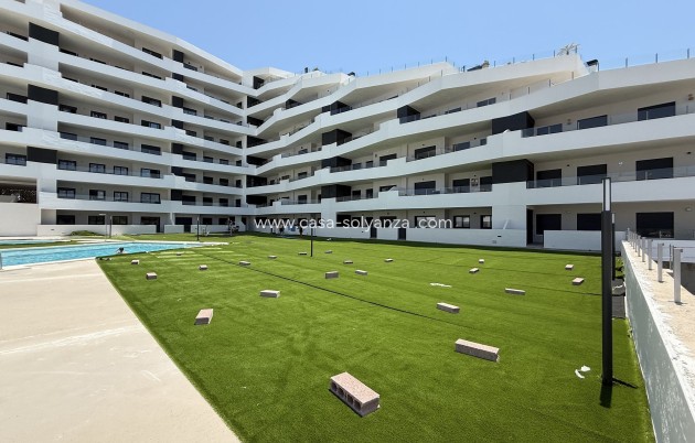 Appartement / flat - Herverkoop - San Miguel de Salinas - Inland