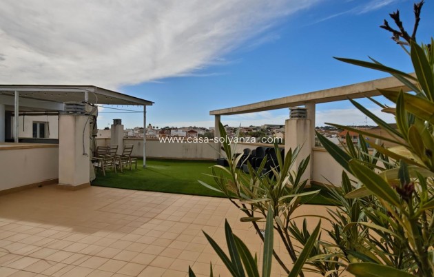 Appartement / flat - Herverkoop - San Miguel de Salinas - San Miguel de Salinas